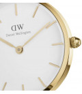 Daniel Wellington Petite Evergold 32mm